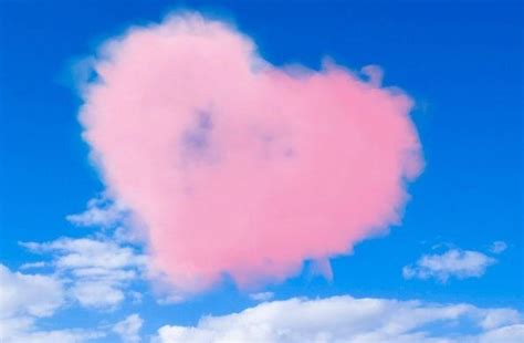 lv de roze wolk